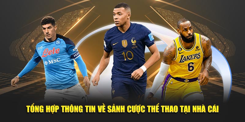 Tổng hợp thông tin về sảnh thể thao tại nhà cái