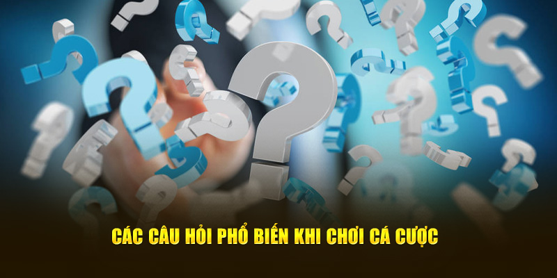  Các câu hỏi phổ biến khi chơi game giải trí online