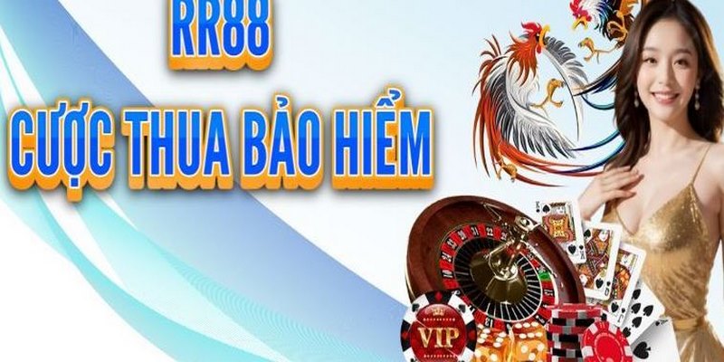 Đá gà và Thể thao tham gia nhận bảo hiểm giá trị