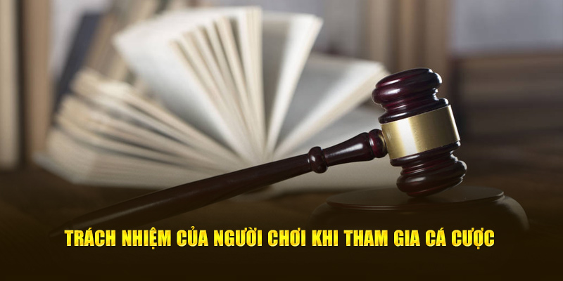 Trách nhiệm của người chơi khi tham gia giải trí online