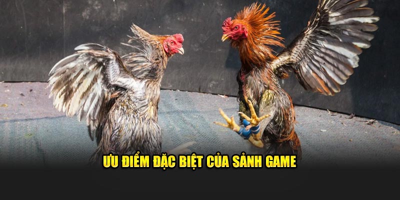 Đặc điểm đặc biệt của sảnh game